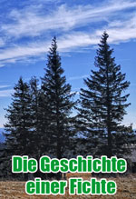 Link